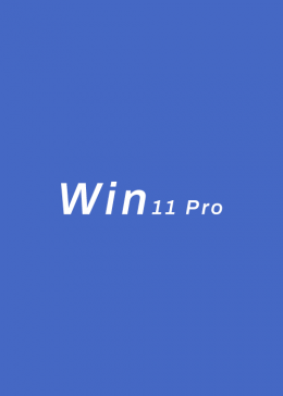 Windows 11 Pro